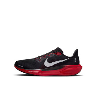 NIKE AIR ZOOM PEGASUS 41 BTC