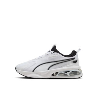 PUMA CELL SOLAR