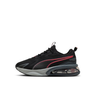 PUMA CELL SOLAR